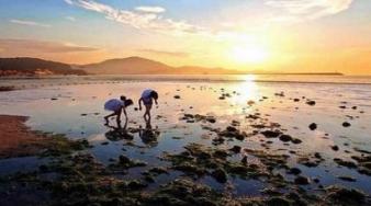 image006.jpg image006.jpg