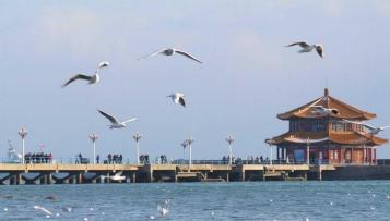 image025.jpg image025.jpg